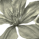Green Roses-wallpaper-eco-friendly-easy-removal-GIOIA-WALL-ART