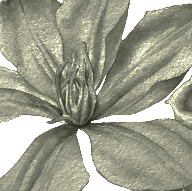 Green Roses-wallpaper-eco-friendly-easy-removal-GIOIA-WALL-ART