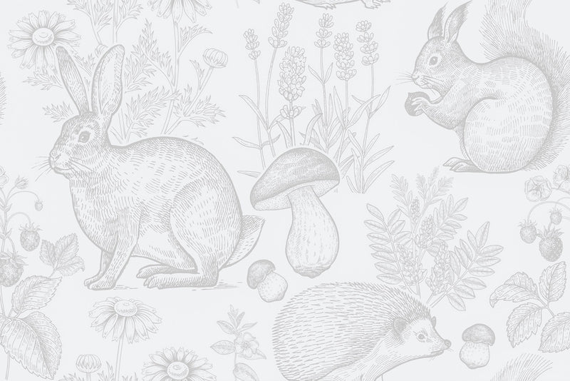 Grey Rabbits Wallpaper