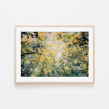 Look Up  , Hand-painted Canvas