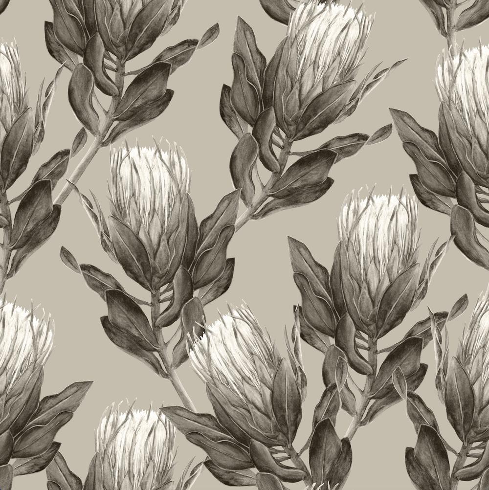 Sage Protea-wallpaper-eco-friendly-easy-removal-GIOIA-WALL-ART