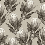 Sage Protea-wallpaper-eco-friendly-easy-removal-GIOIA-WALL-ART
