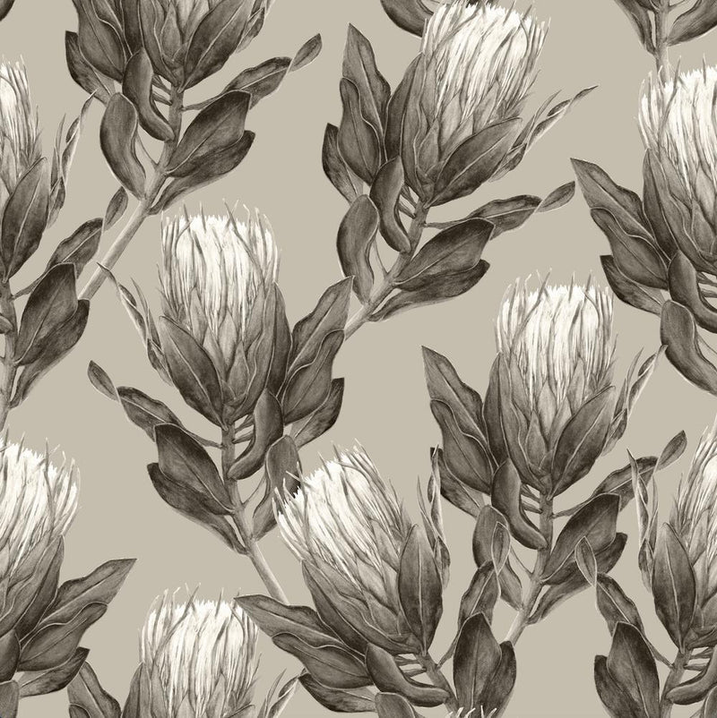 Sage Protea-wallpaper-eco-friendly-easy-removal-GIOIA-WALL-ART