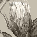 Sage Protea-wallpaper-eco-friendly-easy-removal-GIOIA-WALL-ART