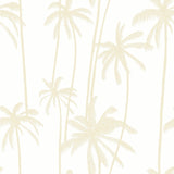 Sand Tall Palms Wallpaper