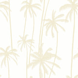 Sand Tall Palms Wallpaper