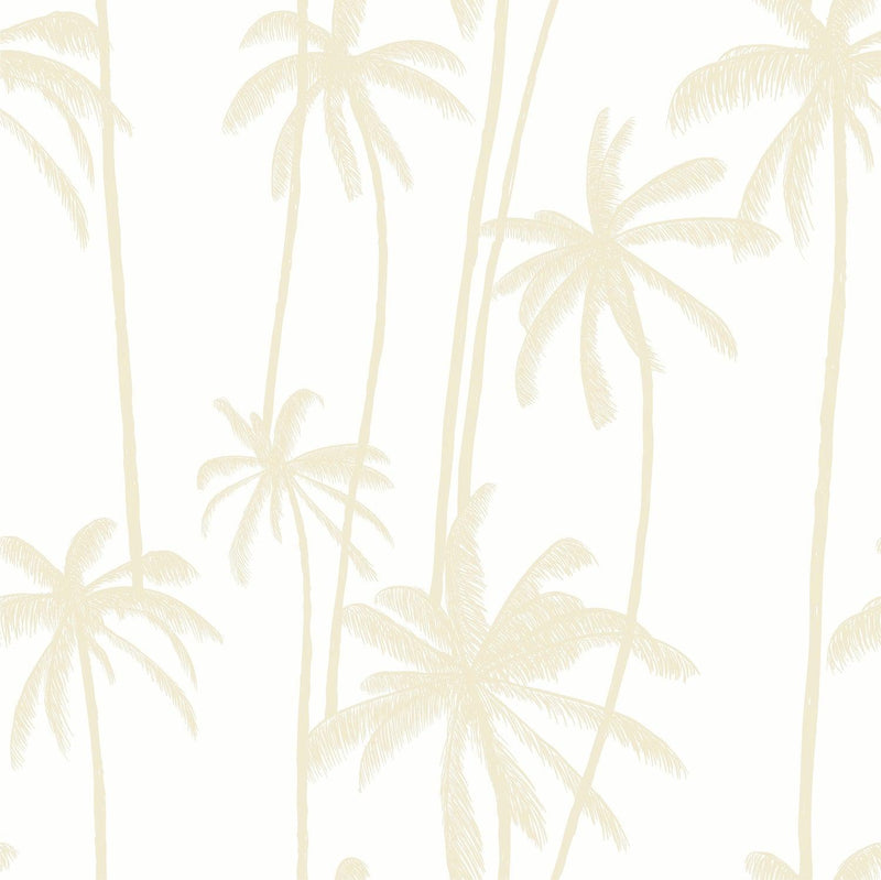 Sand Tall Palms Wallpaper