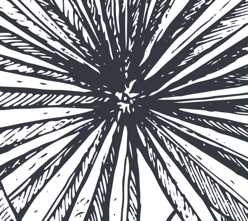 Sketched Botanicals-wallpaper-eco-friendly-easy-removal-GIOIA-WALL-ART