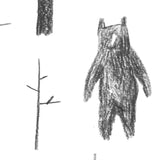 Sketched Forest Animals